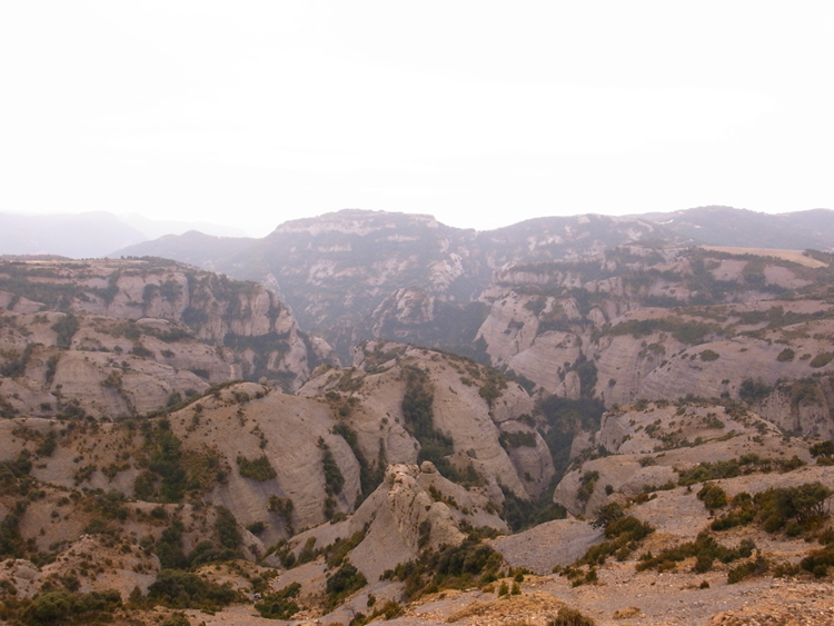 上山路上的某悬崖。。。淡淡的雾气~