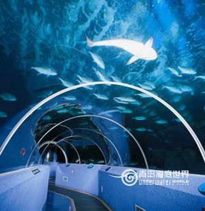 极地海洋世界.jpg