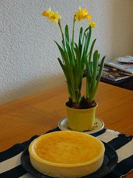 DSC03128.JPG DSC03128.JPG