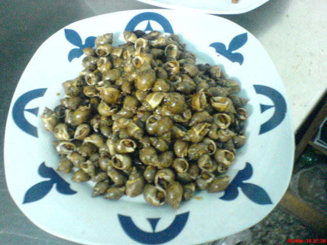 大爱，下酒很好。