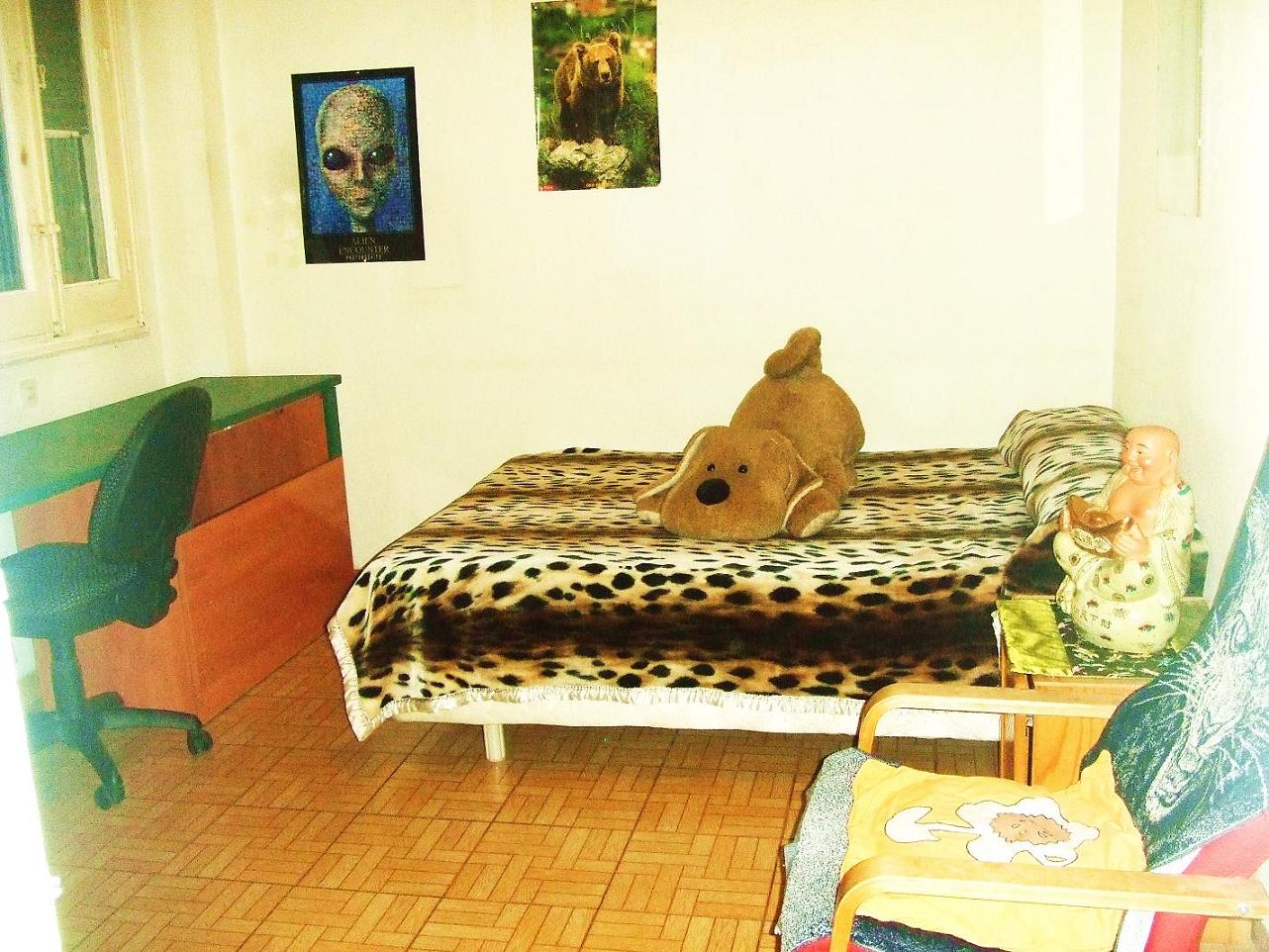 DSCF4781.jpg DSCF4781.jpg