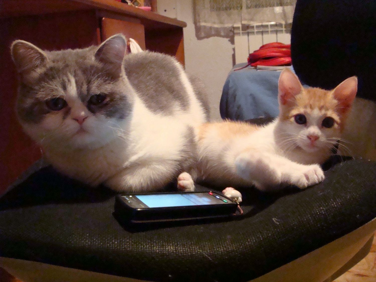 都喜欢这个转椅。