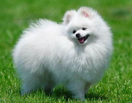 8606180.jpg 8606180.jpg