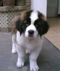 01300000165486121489388675833_s.jpg 01300000165486121489388675833_s.jpg