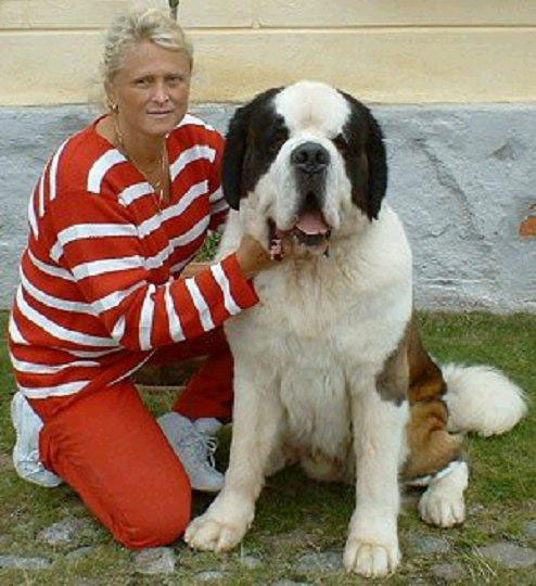 20100325095455607.jpg 20100325095455607.jpg