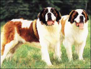 200672181825.jpg 200672181825.jpg