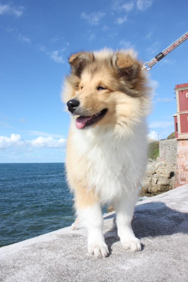 15369344_snap_m.jpg 15369344_snap_m.jpg