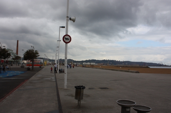 21893991_snap_m.jpg 21893991_snap_m.jpg