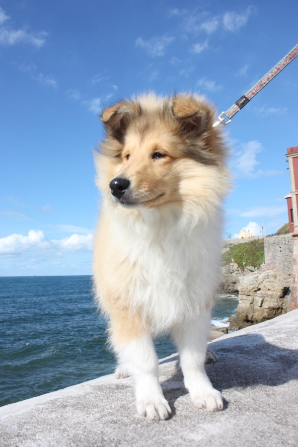 17992646_snap_m.jpg 17992646_snap_m.jpg