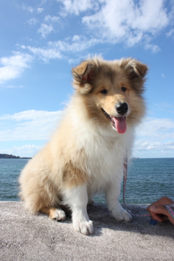 14409110_snap_m.jpg 14409110_snap_m.jpg