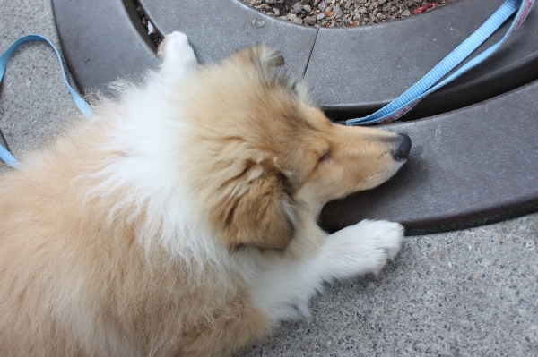 49777360_snap_m.jpg 49777360_snap_m.jpg