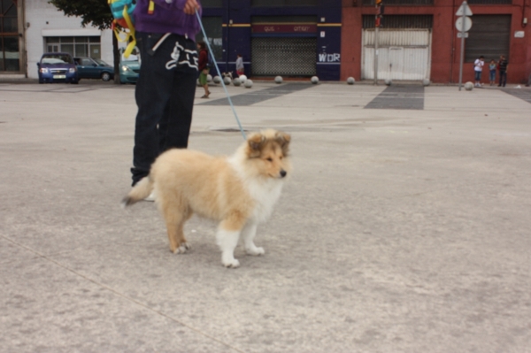 89760186_snap_m.jpg 89760186_snap_m.jpg