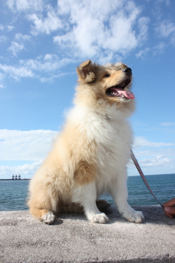 70667304_snap_m.jpg 70667304_snap_m.jpg