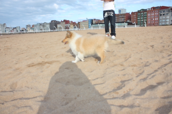 84378872_snap_m.jpg 84378872_snap_m.jpg