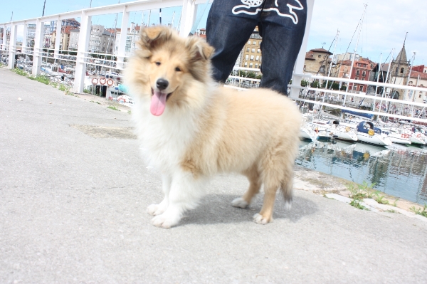 68941830_snap_m.jpg 68941830_snap_m.jpg