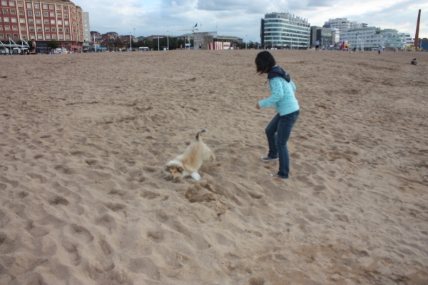 39583416_snap_m.jpg 39583416_snap_m.jpg