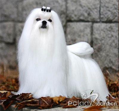 01000000000000119091530970786.jpg 01000000000000119091530970786.jpg