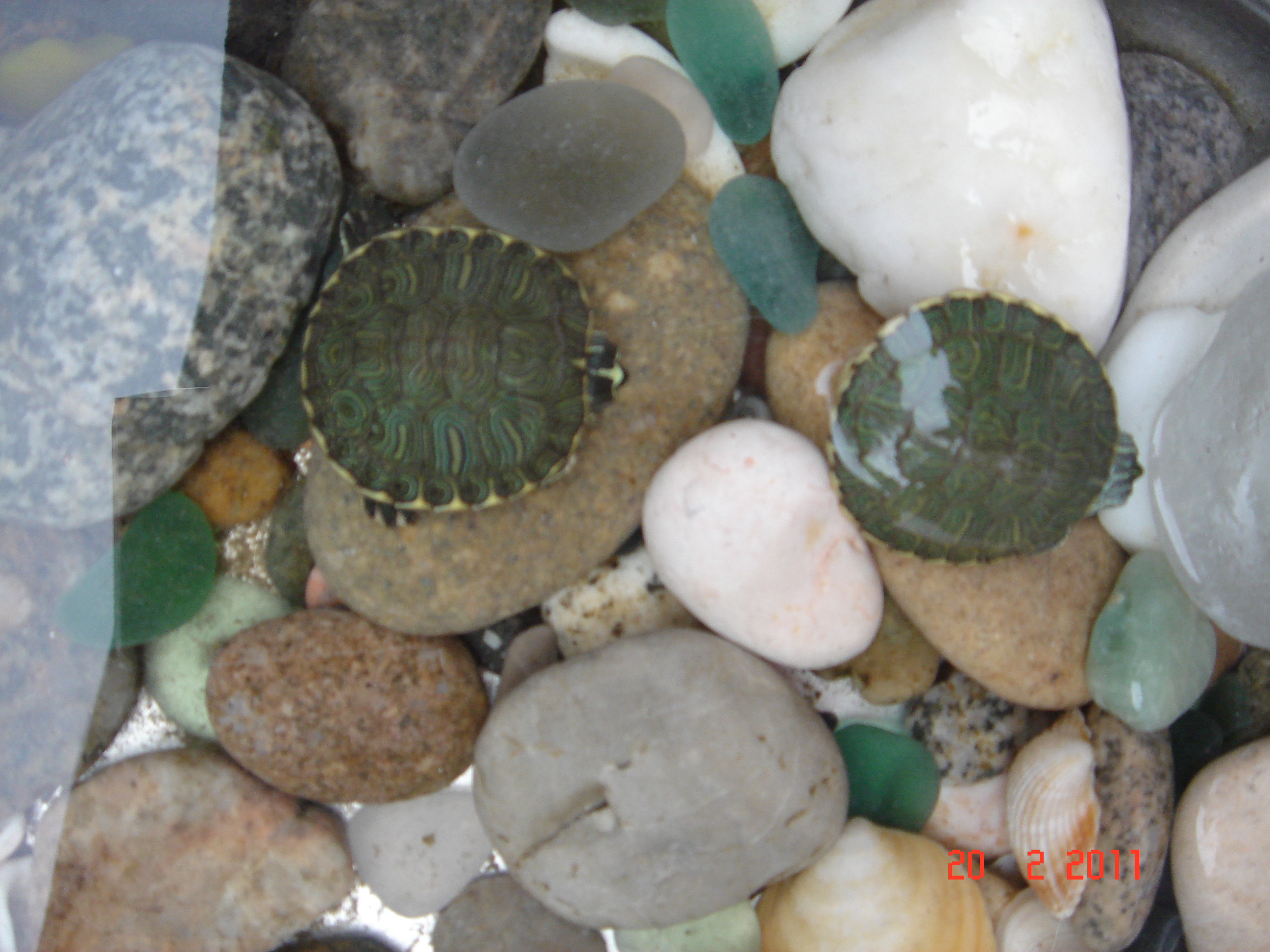 冬眠中。。。。