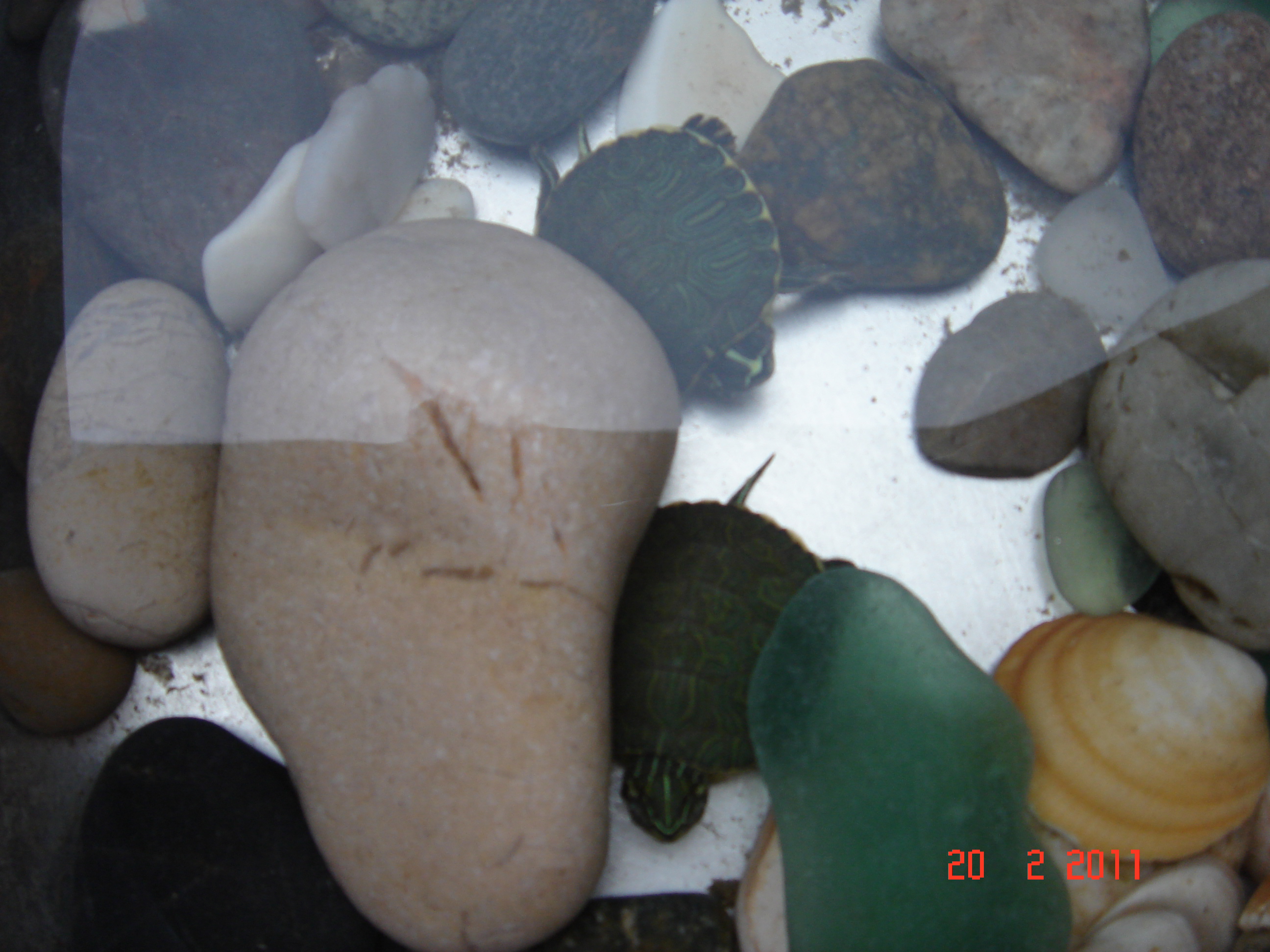 继续冬眠。。。