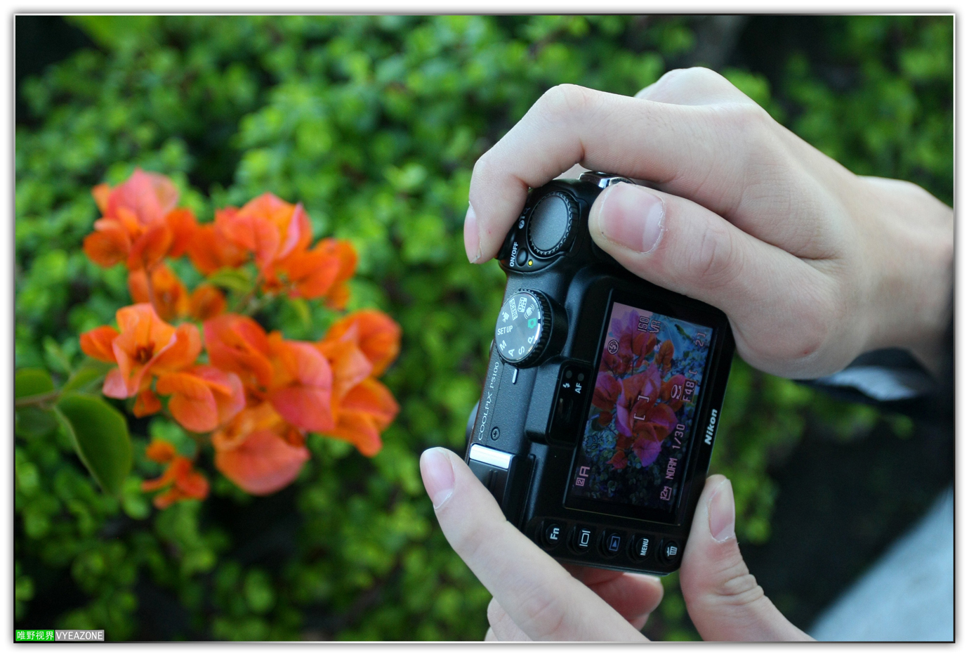 20110214IMG_1050  GG.JPG