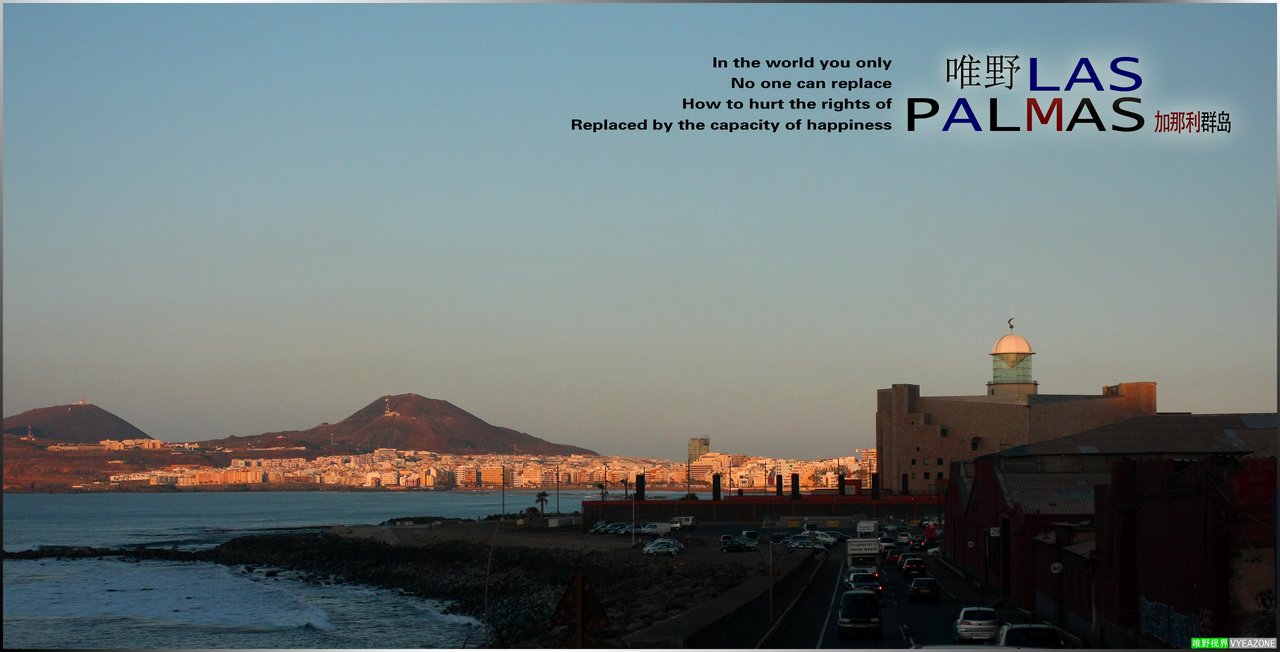 20110120IMG_0559 - 副本.JPG