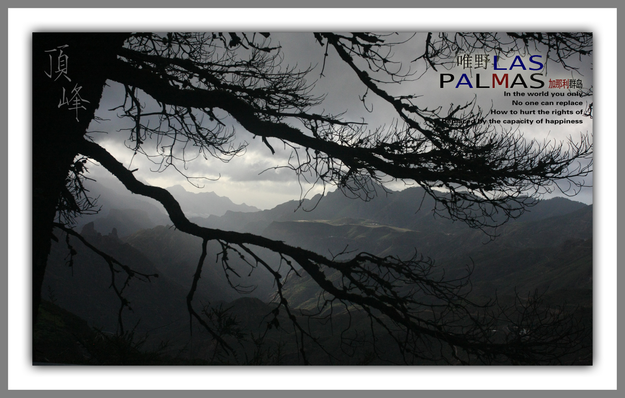 VYEA_00053 GG - 小.jpg