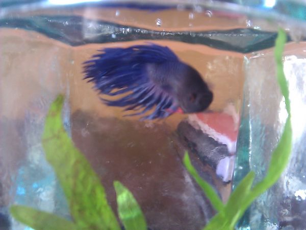 C360_2011-04-14 17-58-54.jpg