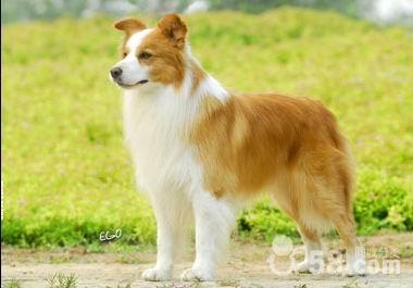 20080907091614-1551773366.jpg 20080907091614-1551773366.jpg