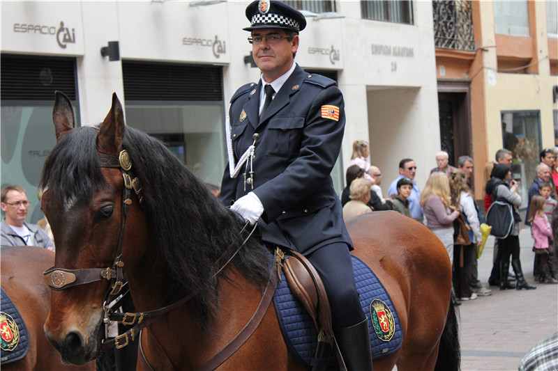 照片 1264_副本.jpg