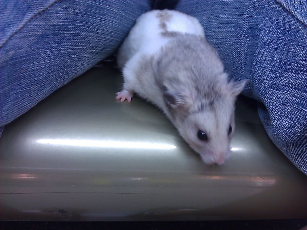 C360_2011-04-18 17-53-57.jpg