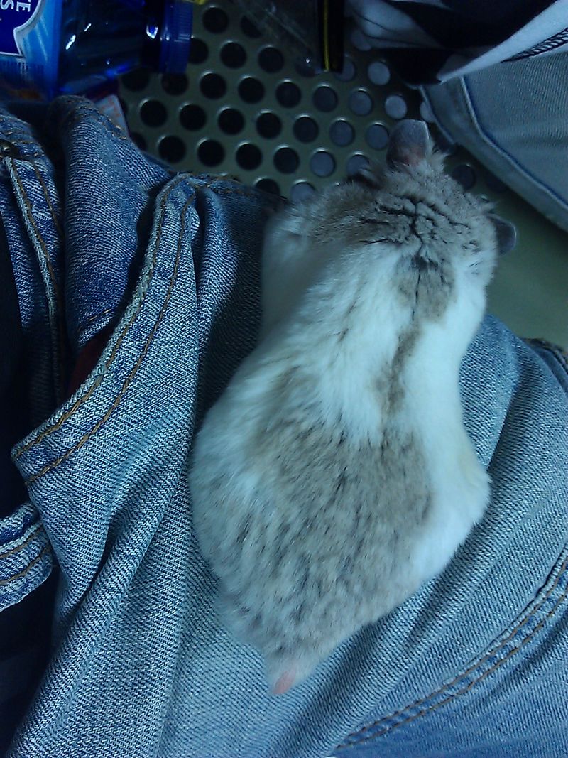 C360_2011-04-18 17-57-52.jpg