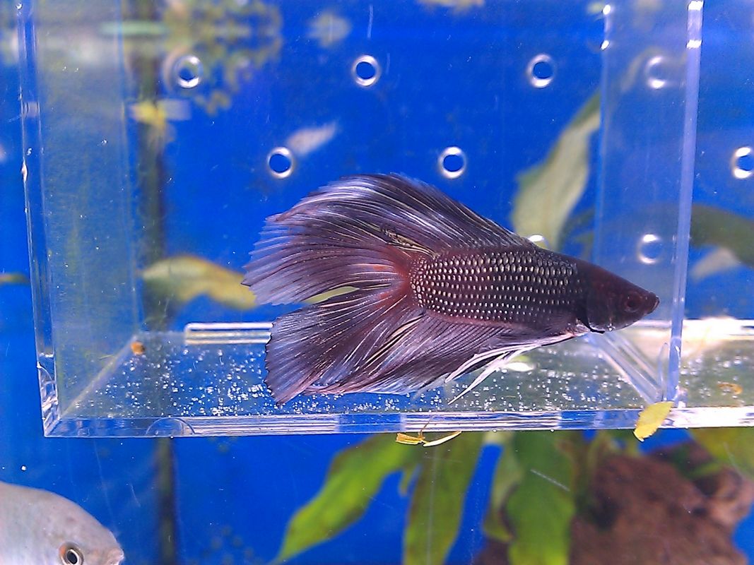 C360_2011-04-27 13-37-30.jpg