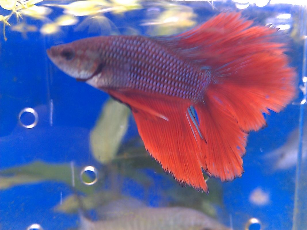 C360_2011-04-27 13-38-13.jpg