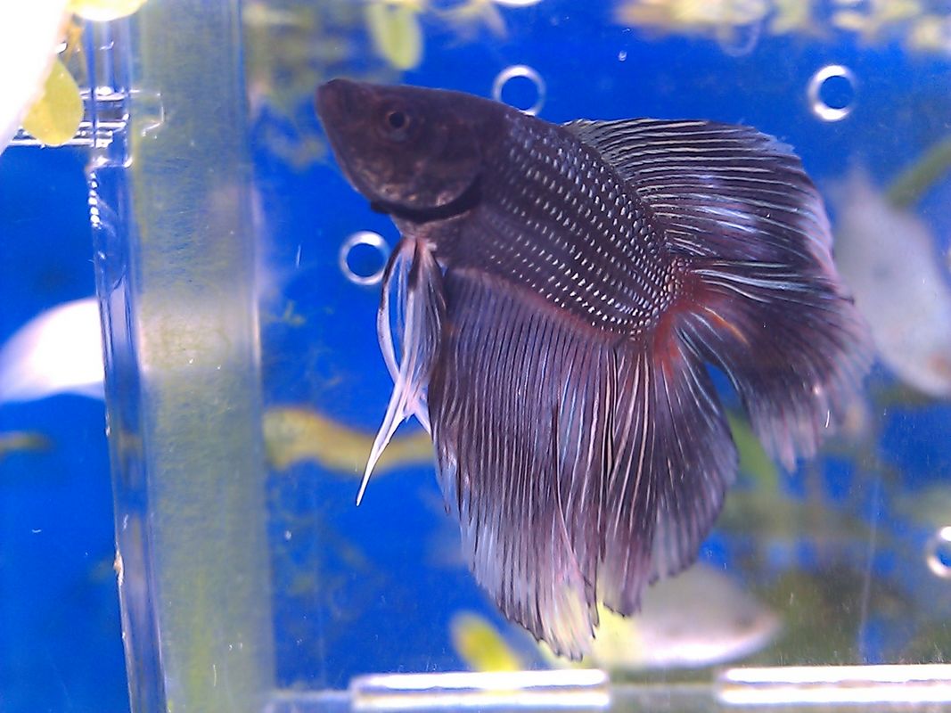 C360_2011-04-27 13-38-33.jpg