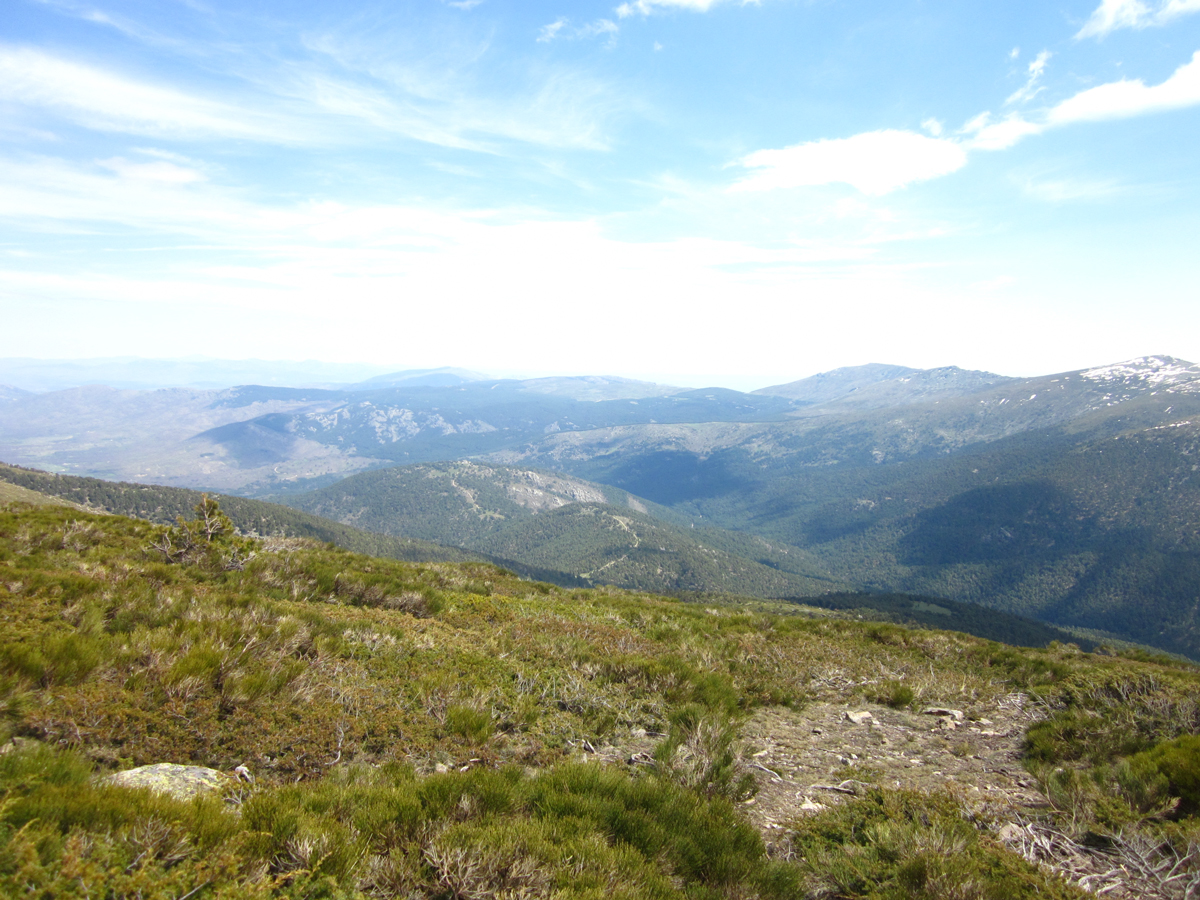 IMG_0439.jpg IMG_0439.jpg