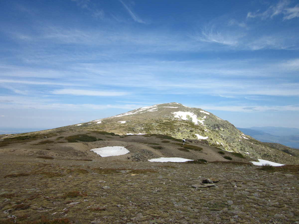 IMG_0441.jpg IMG_0441.jpg