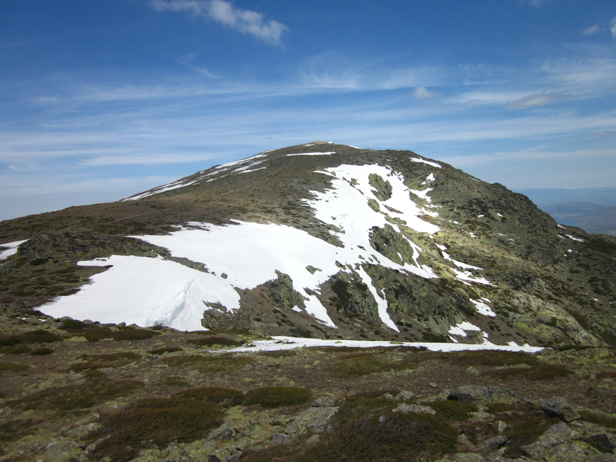 IMG_0446.jpg IMG_0446.jpg