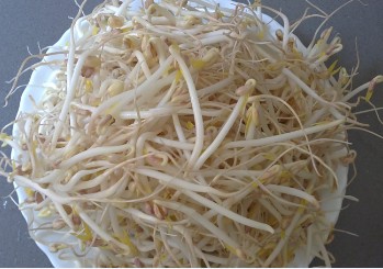 自发豆芽，本人觉得比买的吃得放心。