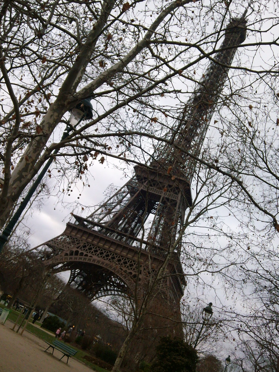 IMG0727A.jpg