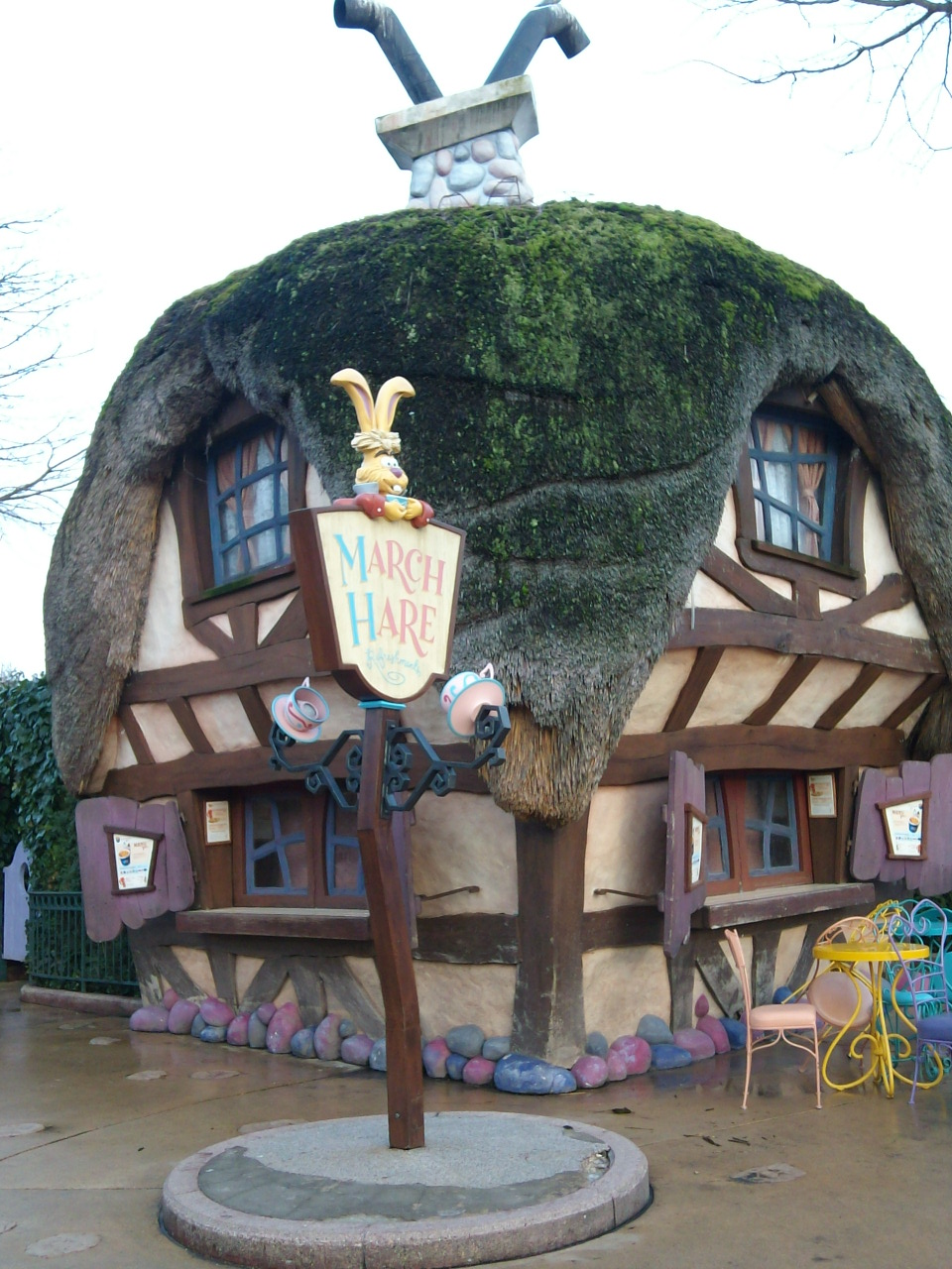IMG0447A.jpg