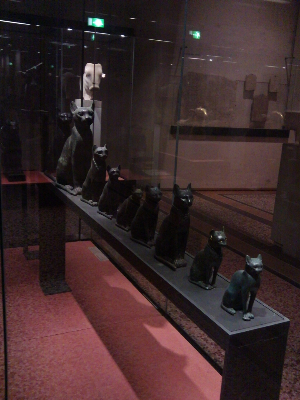 猫有9条命的意思？