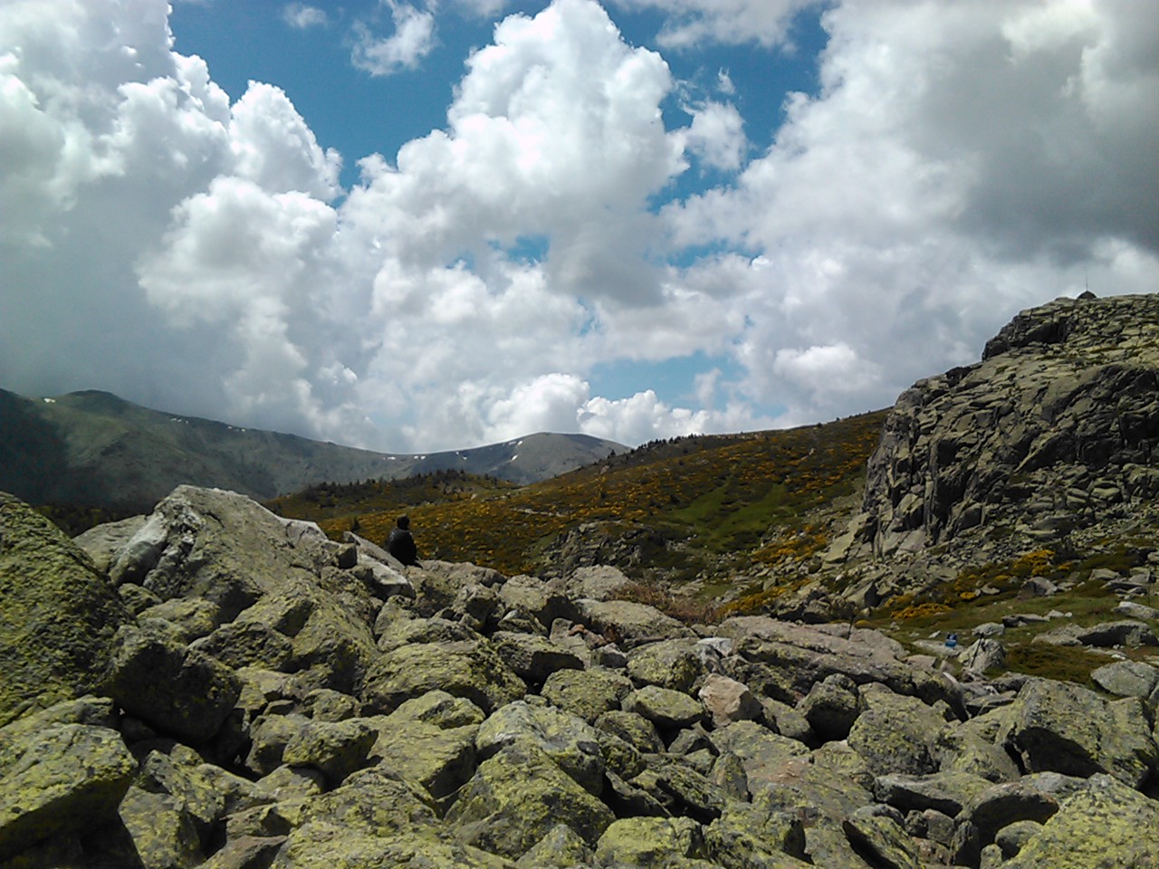 IMG348.jpg IMG348.jpg