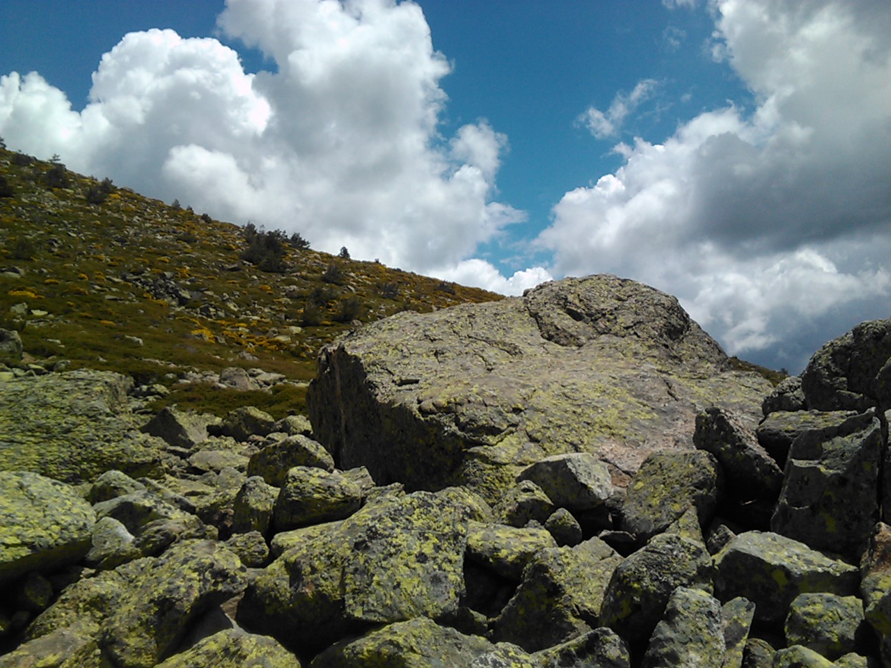 IMG349.jpg IMG349.jpg