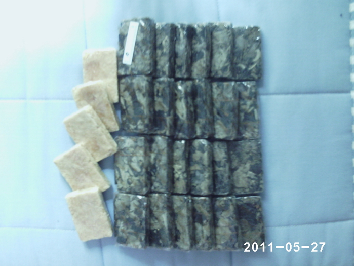 PHOT0003_调整大小.JPG