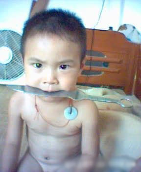 1143784251243   葵花1.jpg