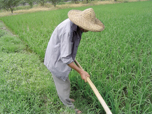 20070720150519 农民们.jpg