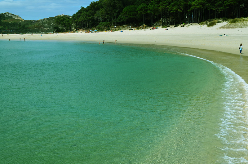 照片 004_副本.jpg