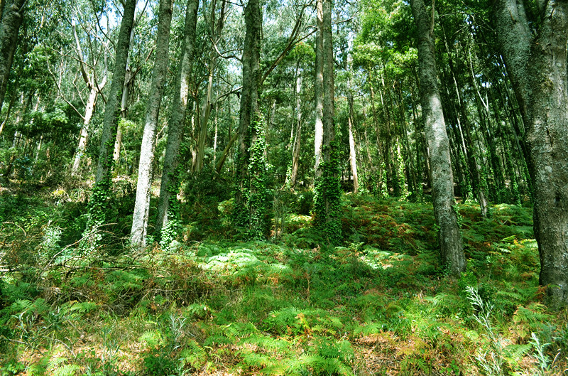 照片 006_副本.jpg