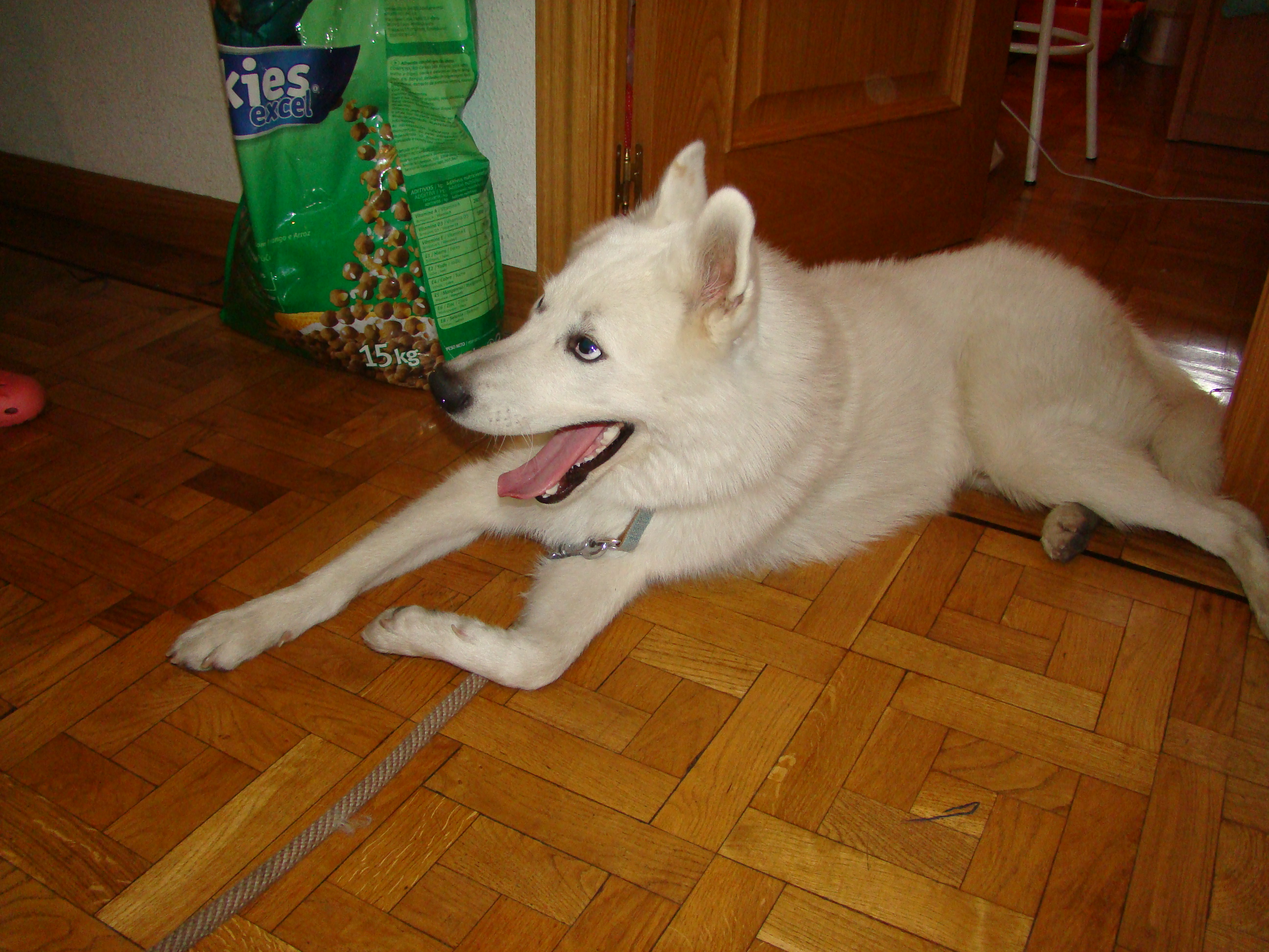DSC01809.JPG