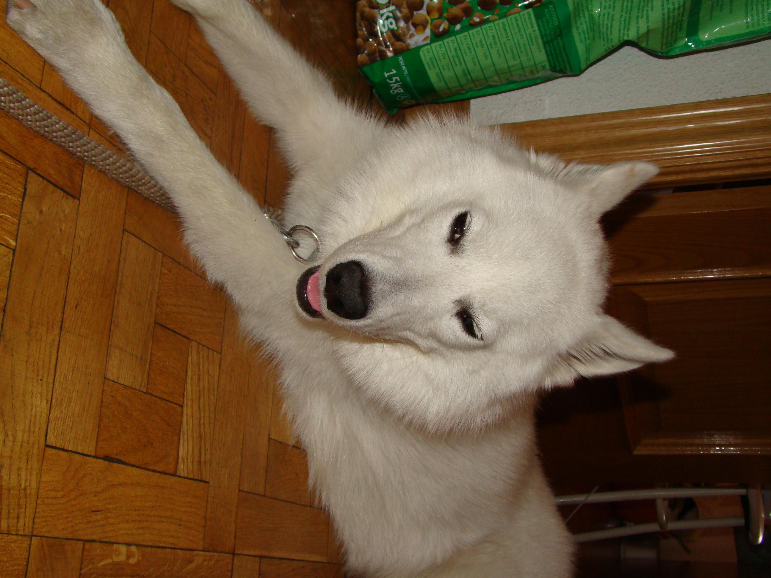 DSC01808.JPG